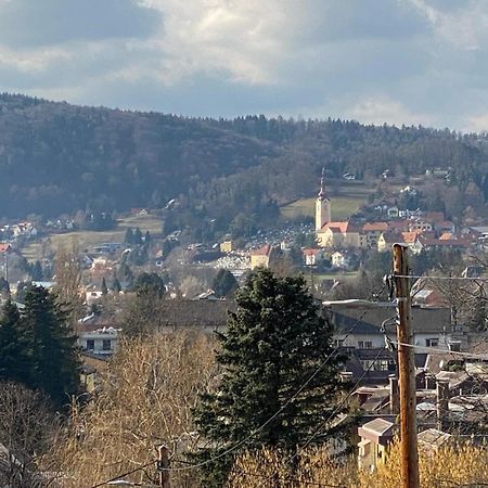 Schoenes Apartment Mit Aussicht Ueber Грац Екстер'єр фото